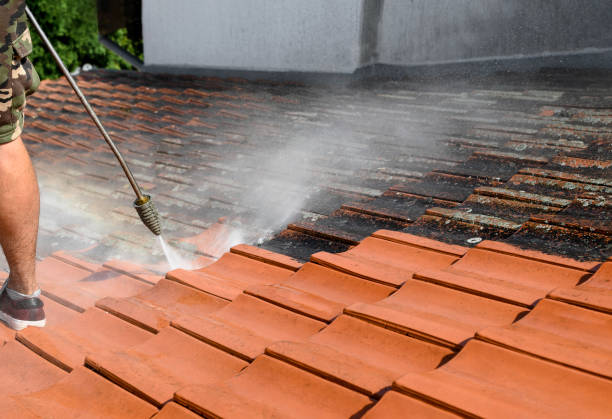 Best Pressure Washing Near Me  in Noroton, CT