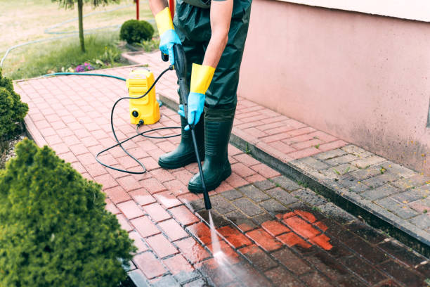 Best Pressure Washing Near Me  in Noroton, CT
